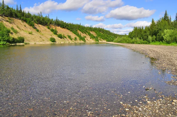 Sommerlandskab nord for floden . - Stock-foto