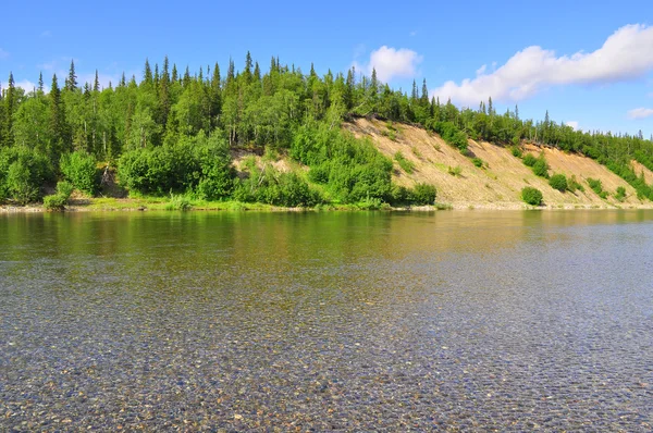 Sommar landskap norr om floden. — Stockfoto