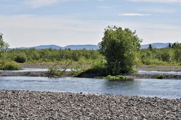 Northern river from the pebbly shores. — Stock Photo, Image