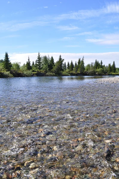 Pebble rif op de north river. — Stockfoto