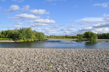 Vahşi nehir manzara polar Urallarda. 