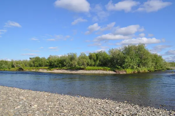 Paysage fluvial sauvage dans l'Oural polaire . — Photo