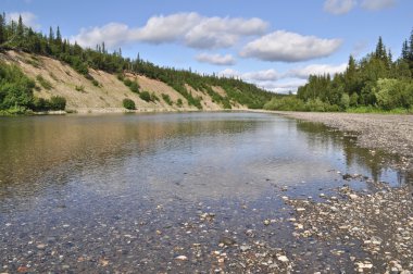 Nehrin kuzeyindeki yaz peyzaj. 