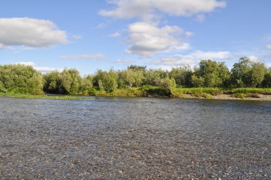Kuzey nehir yaz peyzaj.