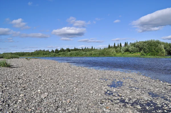 Paisaje de verano de las riberas del Norte . — Foto de Stock