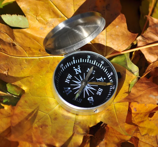 Brújula entre las hojas de otoño . —  Fotos de Stock