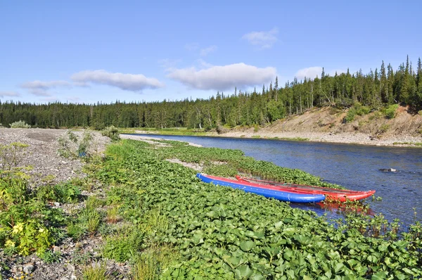 Tourist boat among the plants on North river. — Stock Photo, Image