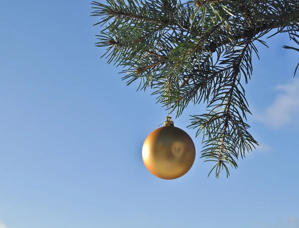 A bola de ouro em um ramo da árvore de Natal . — Fotografia de Stock