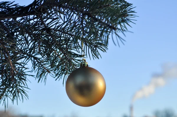 Die goldene Kugel auf einem Zweig des Weihnachtsbaums. — Stockfoto