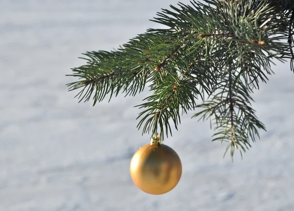 Die goldene Kugel auf einem Zweig des Weihnachtsbaums. — Stockfoto