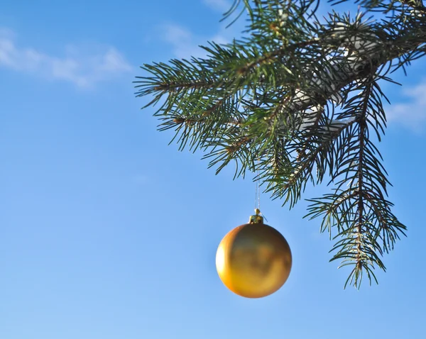 De gouden bal op een tak van de kerstboom. — Stockfoto