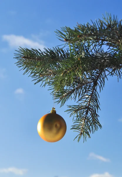 Die goldene Kugel auf einem Zweig des Weihnachtsbaums. — Stockfoto