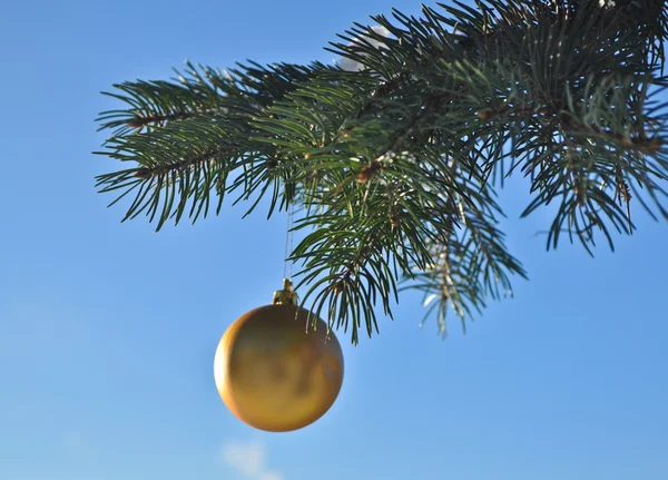 La palla d'oro su un ramo dell'albero di Natale . — Foto Stock