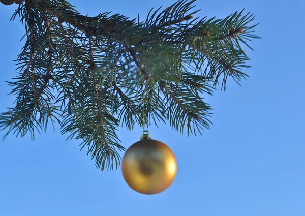 La boule d'or sur une branche du sapin de Noël . — Photo