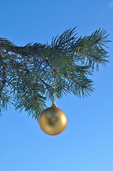 La bola de oro en una rama del árbol de Navidad . — Foto de Stock