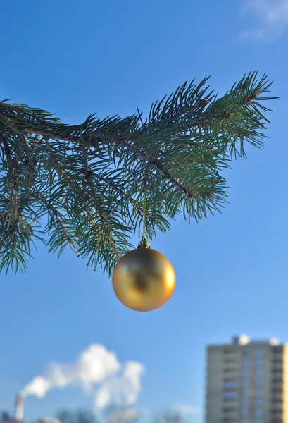 De gouden bal op een tak van de kerstboom. — Stockfoto