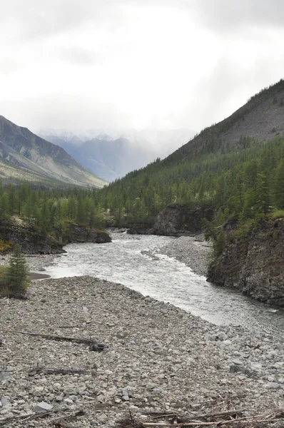 El río en las montañas de Yakutia . — Foto de Stock