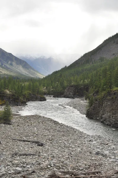 Râul în munții Yakutia . — Fotografie, imagine de stoc