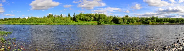 Панорамный речной пейзаж на полярном Урале . — стоковое фото