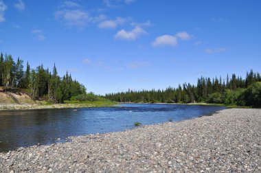 Güneşli bir günde Kuzey Tayga Nehri. 