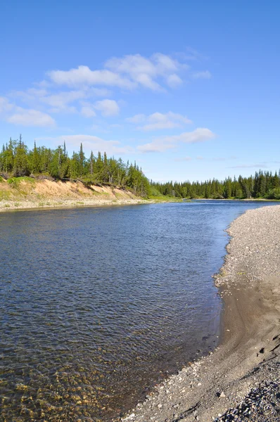 North river w słoneczny letni dzień. — Zdjęcie stockowe