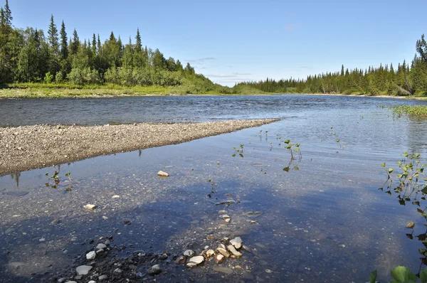 Río taiga norte en un día soleado . — Foto de Stock