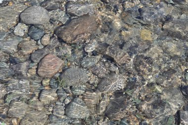 Nehir çakıl temiz su altında arka plan. 