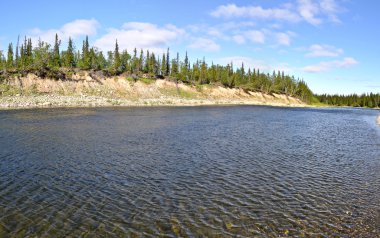 Urallarda vahşi nehir panoramik manzara. 