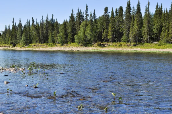 Pebbles nas margens do rio Ural taiga . — Fotografia de Stock