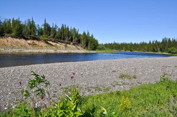 Coast Northern rivers. — Stock Photo, Image