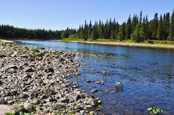 Kiezels op de oevers van rivier de Oeral taiga. — Stockfoto