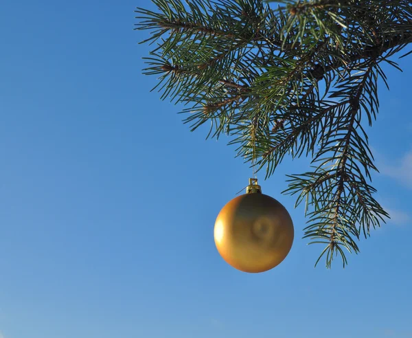 Die goldene Kugel auf einem Zweig des Weihnachtsbaums. — Stockfoto