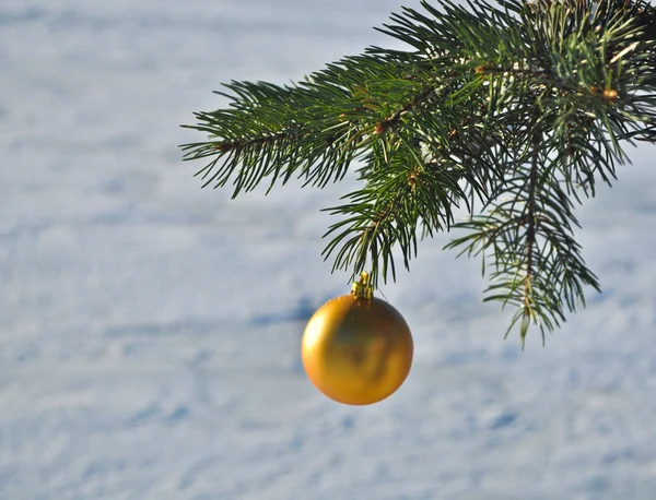 The Golden ball on a branch of the Christmas tree. — Stock Photo, Image