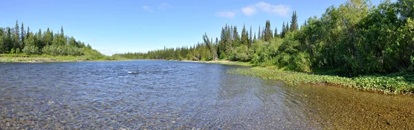 Panorama of the wild river. — Stock Photo, Image