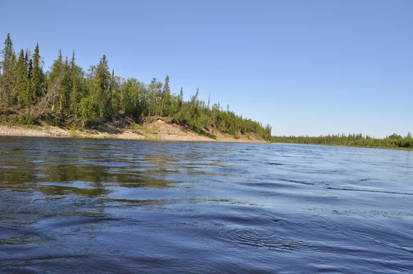 Wybrzeże Północnej rzeka boreal. — Zdjęcie stockowe