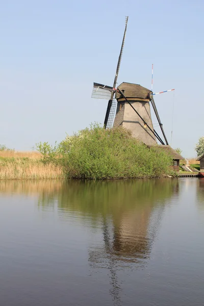 オランダの風車. — ストック写真