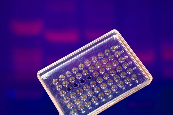 Ensaio de ADN no laboratório . — Fotografia de Stock