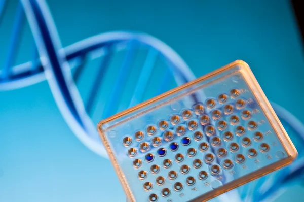 DNA testing. — Stock Photo, Image