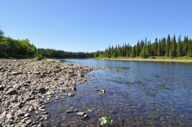 Urallarda çakıl Nehri.