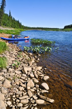 Deniz kenarı kayaklar. 