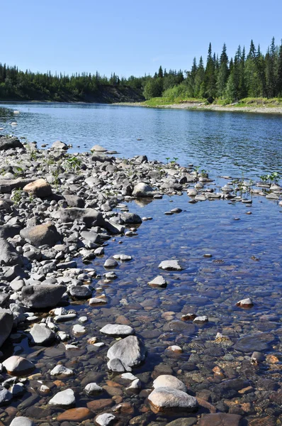 Rivière de galets dans l'Oural . — Photo