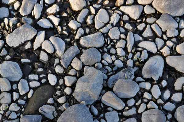 Abstract background of pebbles on the shore. — Stock Photo, Image