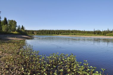 Çakıl plajı Ural Nehri.