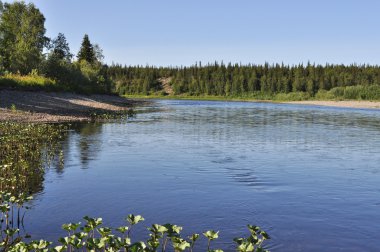 Çakıl plajı Ural Nehri.