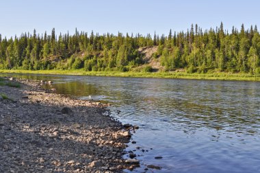 Tayga nehir Paga, Virgin Komi ormanlar.  
