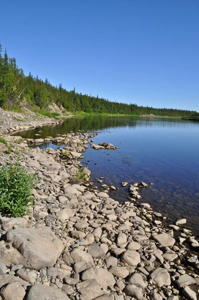 Maagdelijke Komiwouden, taiga rivier Paga. — Stockfoto