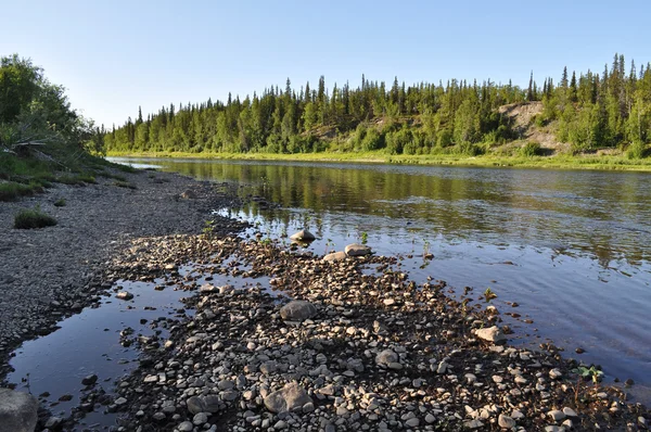 Tayga nehir Paga, Virgin Komi ormanlar.  