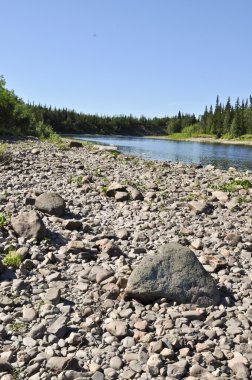 Urallarda çakıl Nehri.