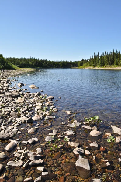 Kieselfluss im Ural. — Stockfoto