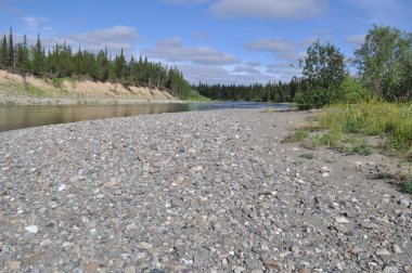 Nehrin kuzeyindeki çakıl plajı. 
